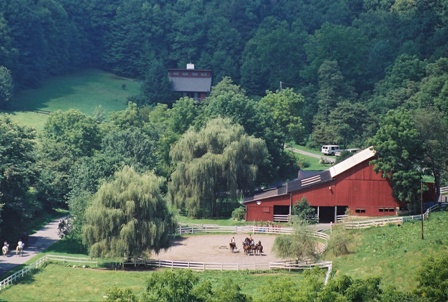 horse back riding camp