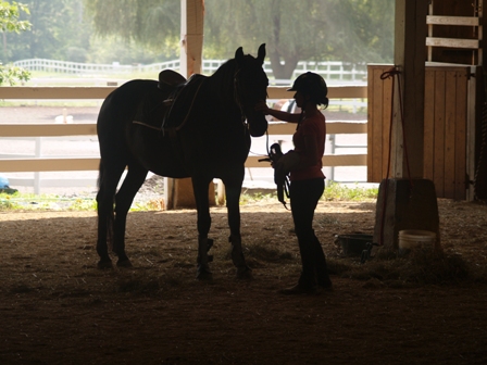 horseback riding summer camp northeast