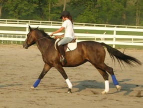 Teen Horseback Riding Summer Camp