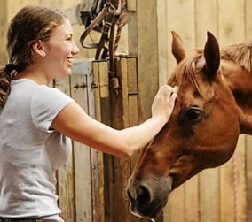 Benefits-of animal-interations-at-summer-camp