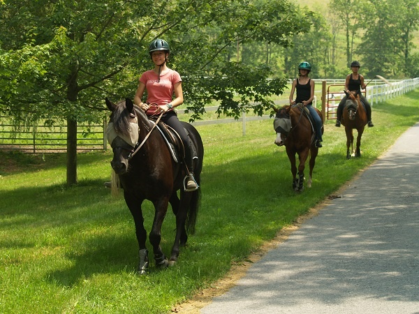 Horseback-Riding-Teen-Camp-PA.jpg
