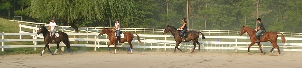 Riding Day Camp