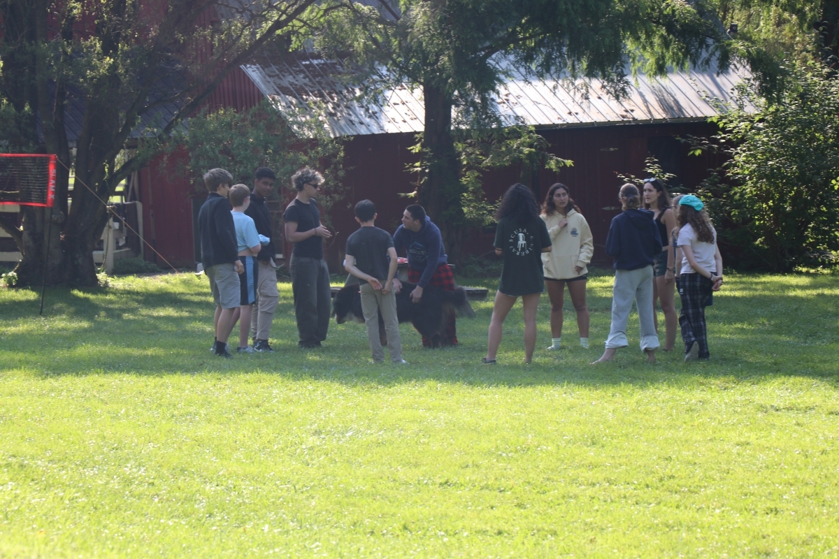 Summer Camp (4)