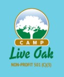 Summer-camps