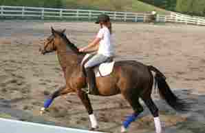 A Female Camper Horseback Riding