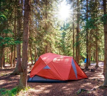 Picture of a camp tent.
