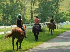 Picture of 3 Campers horseback riding