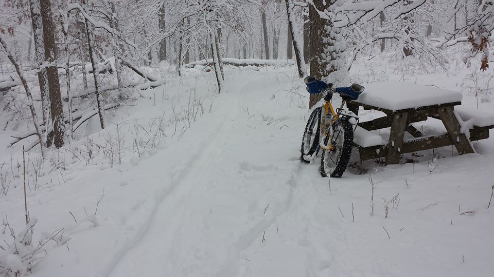 A winter picture