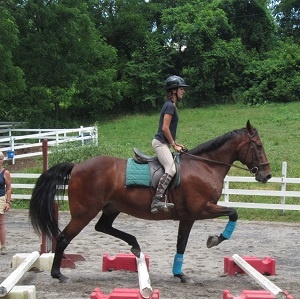 Picture of a Camper Horseback riding
