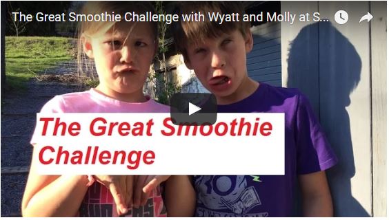 A screenshot from Molly + Wyatt in the Great Smoothie Challenge