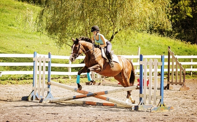 Picture of a Camper Horseback riding