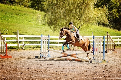 Picture of a Camer riding a horse